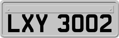 LXY3002