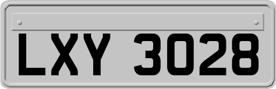 LXY3028