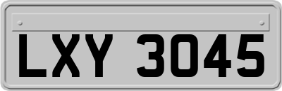 LXY3045
