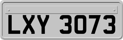 LXY3073