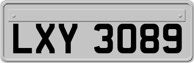 LXY3089