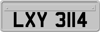 LXY3114