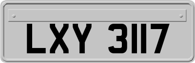 LXY3117