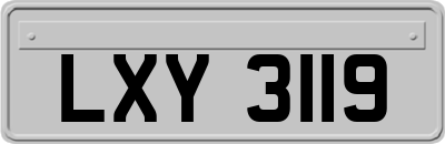 LXY3119
