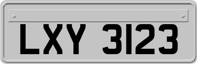 LXY3123
