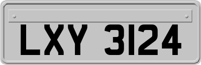 LXY3124