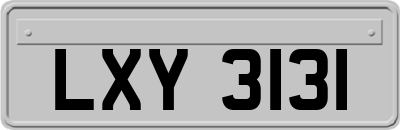 LXY3131