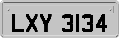 LXY3134