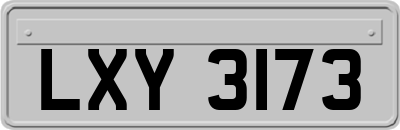 LXY3173