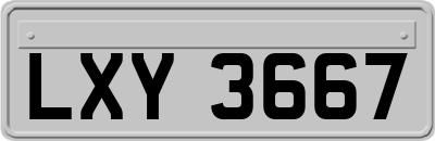 LXY3667