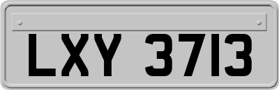 LXY3713
