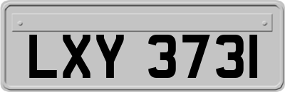 LXY3731