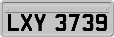 LXY3739