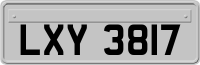 LXY3817