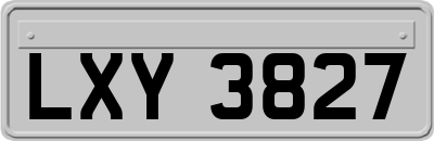 LXY3827