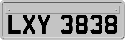 LXY3838