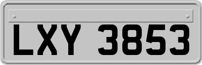 LXY3853