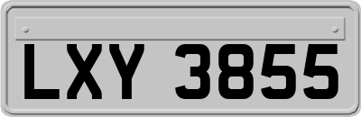 LXY3855