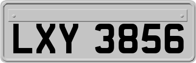 LXY3856