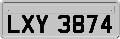 LXY3874