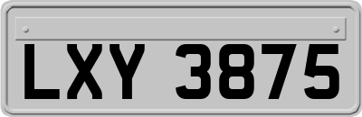 LXY3875