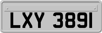LXY3891