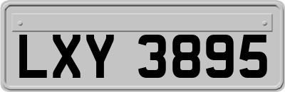 LXY3895