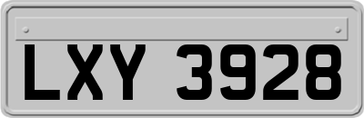 LXY3928