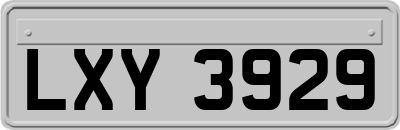 LXY3929