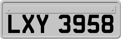 LXY3958