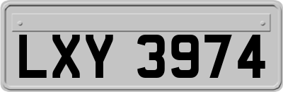 LXY3974