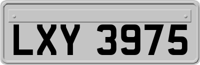 LXY3975