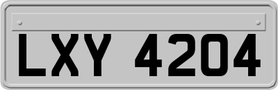 LXY4204