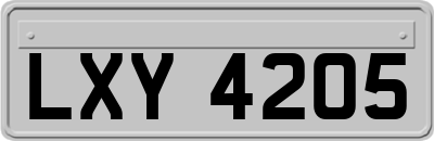 LXY4205