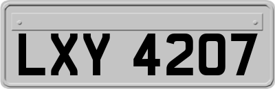LXY4207