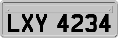 LXY4234