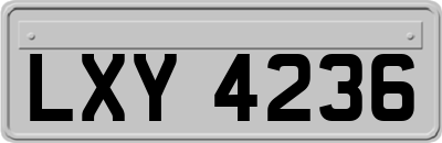 LXY4236