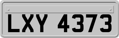 LXY4373