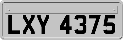 LXY4375