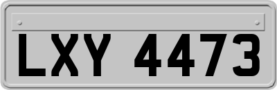LXY4473