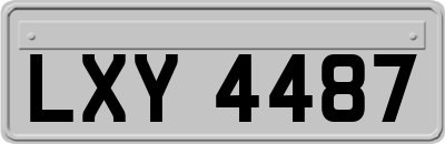LXY4487