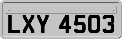 LXY4503