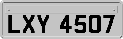LXY4507