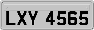 LXY4565
