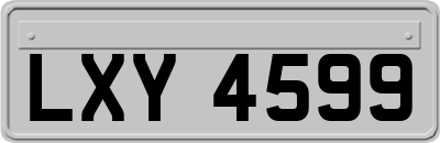 LXY4599