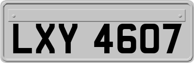 LXY4607