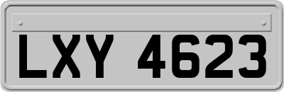 LXY4623