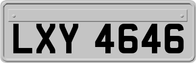 LXY4646