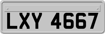 LXY4667