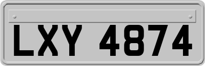 LXY4874